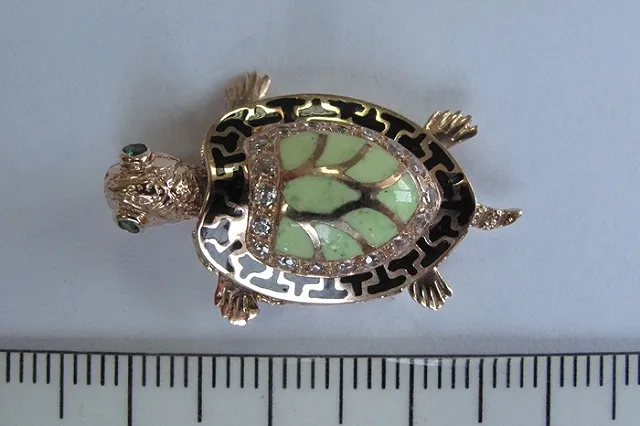 Пассажирке Кольцово, ввезшей под одеждой золотых черепашек, грозит полумиллионный штраф