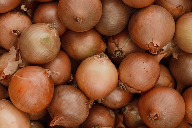 В Екатеринбурге снова выросли цены на лук