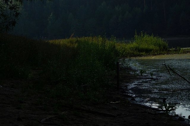 В Берёзовском 9-летний мальчик спас тонущую девочку