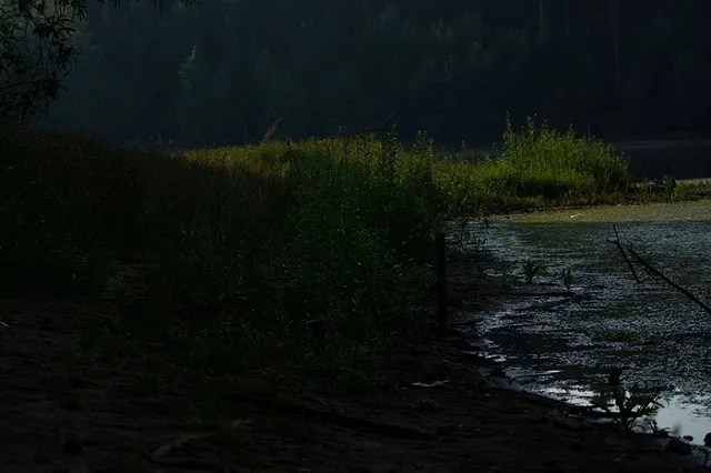 В Берёзовском 9-летний мальчик спас тонущую девочку