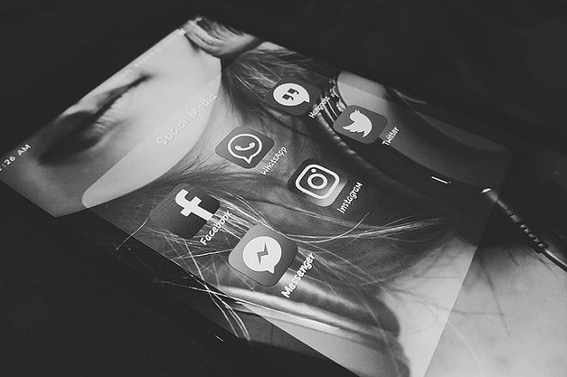 Депутат Немкин призал следить за «цифровой гигиеной», а не выбирать ««самый свободный мессенджер»