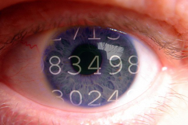 Полиция установила личность «майора», измазавшего фекалиями двери IT-фирмы