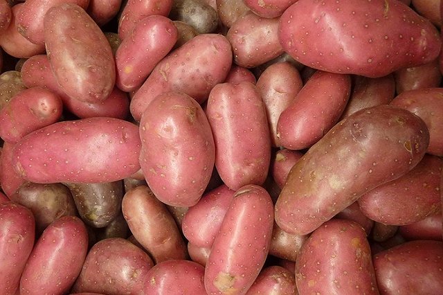 Дмитрий Медведев похвалил «Уральский картофель»