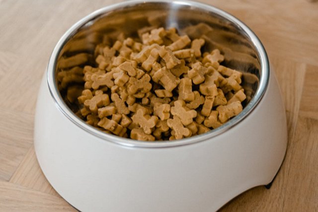 Союз предприятий зообизнеса: Турция готова поставлять в Россию веткорма для животных