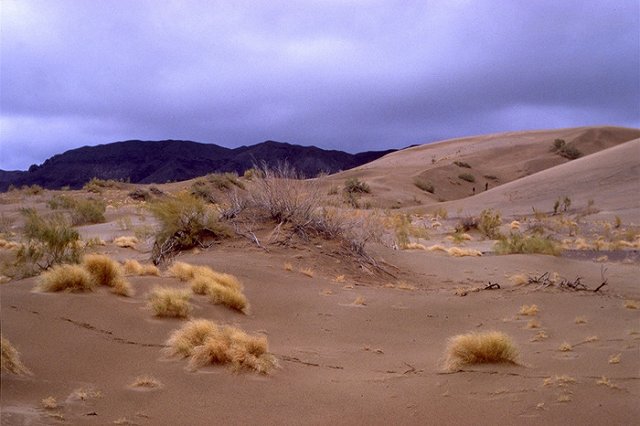 Полиция ищет пропавшую семью свердловчан, отправившуюся в отпуск на машине