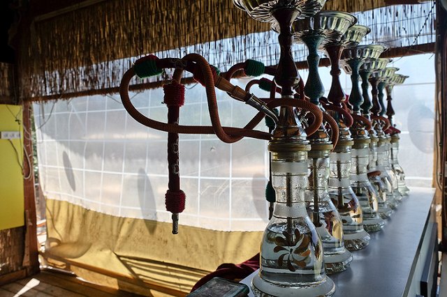 Редактору модного журнала в Екатеринбурге разбили голову кальяном