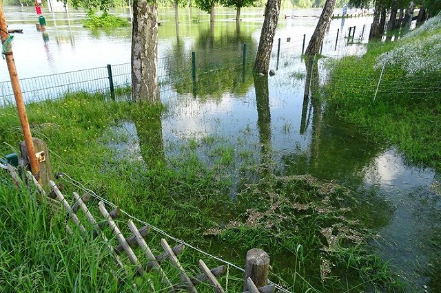 Климатологи: В России под воду уйдут 8 регионов за 50 лет