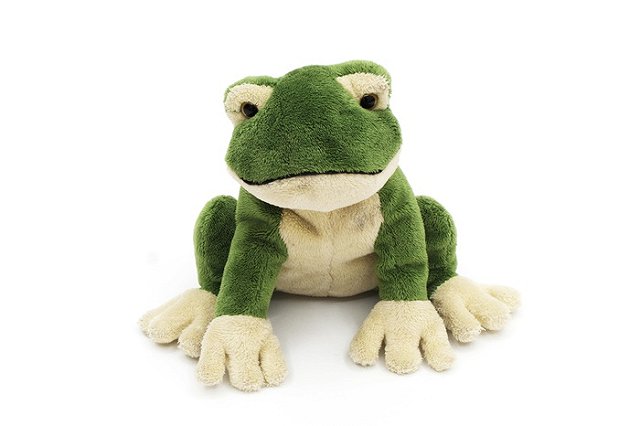 В Академическом эвакуировали «Сбербанк» из-за полуметровой лягушки