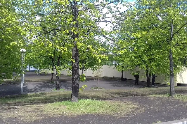 КПРФ требует распустить гордуму Екатеринбурга