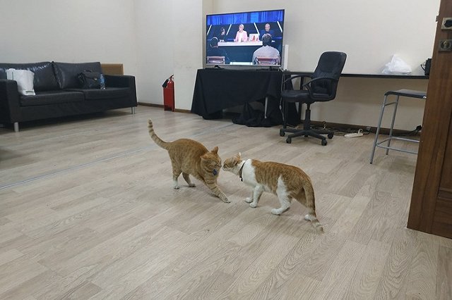 Герой материала Uralweb о тайне гибели дятловцев стал участником ток-шоу Первого канала