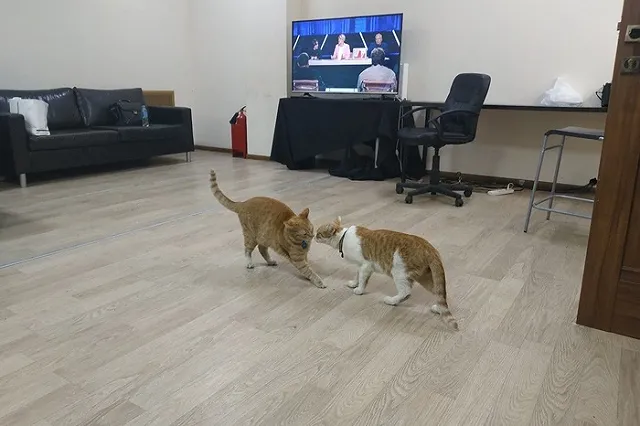 Герой материала Uralweb о тайне гибели дятловцев стал участником ток-шоу Первого канала