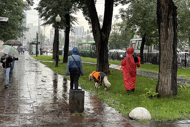 Похолодание и дожди идут в Свердловскую область