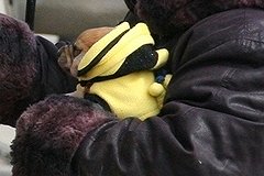 В Екатеринбурге появилась бабушка, просящая &quot;на щенков&quot;