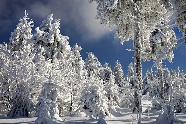 Штормовое предупреждение. МЧС переведено в режим «Повышенная готовность»