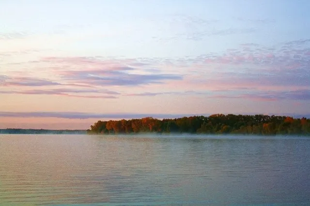 Директор Шарташского лесопарка Зиганшин не осилил организацию субботника