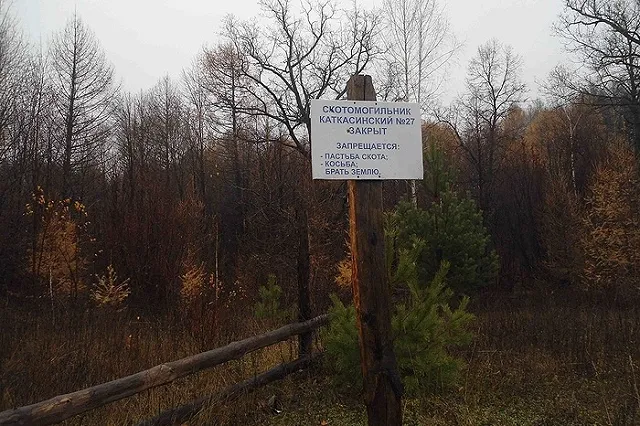 Расходы на содержание сибиреязвенных скотомогильников сократят на Среднем Урале втрое