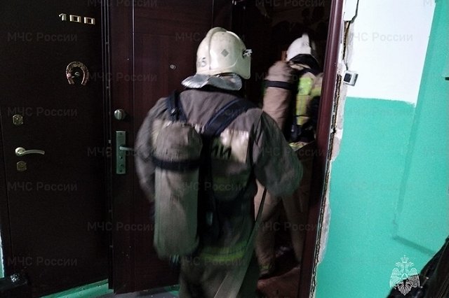 В Свердловской области кот погиб из-за «коротнувшей» микроволновки