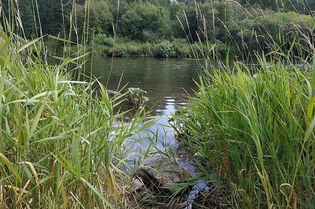 Появились детали трагедии с девочкой на Рефтинском водохранилище