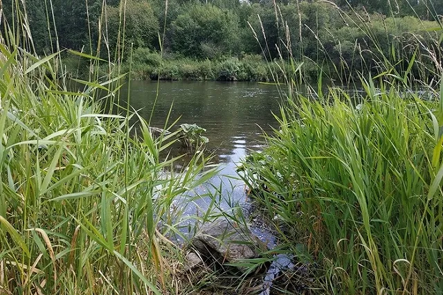Появились детали трагедии с девочкой на Рефтинском водохранилище