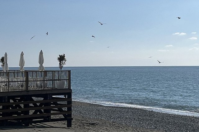 Екатеринбуржец бросил всё и без денег уехал на велосипеде в Сочи