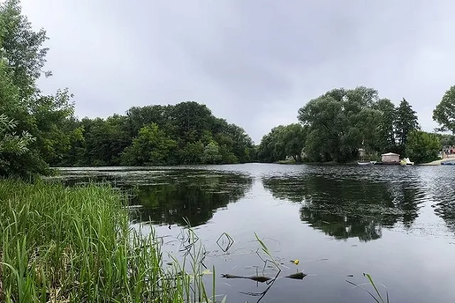 Два мигранта пытались утопить тюменского подростка из-за самоката