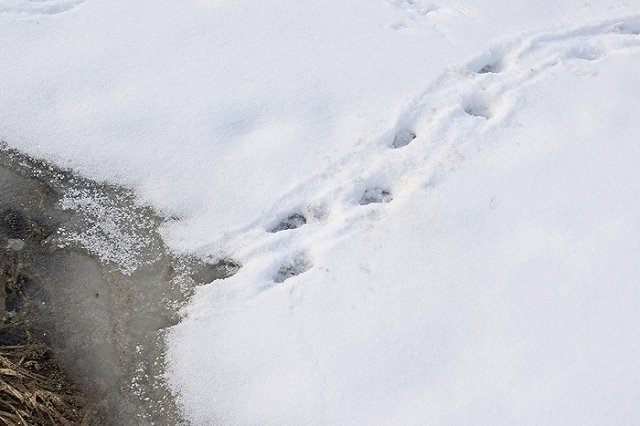 Следователи ищут организатора опасных полетов на паралете над Шарташом