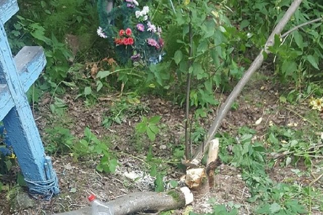 Следственный комитет начал проверку после трагического инцидента на кладбище Краснотурьинска