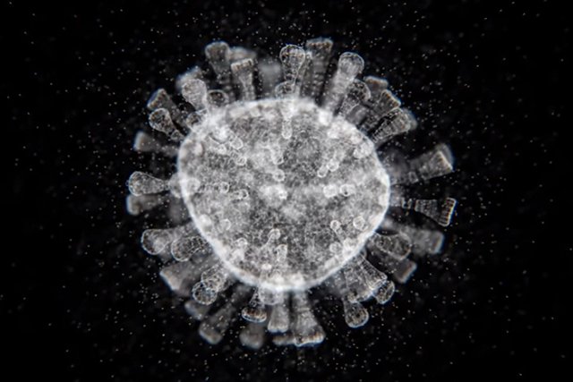 В России за сутки госпитализировали 16 349 человек с COVID-19