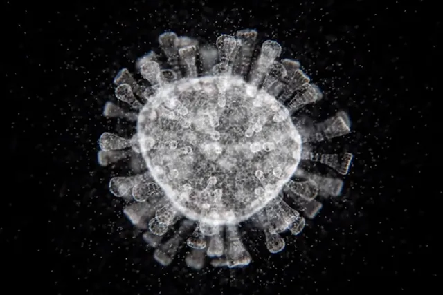 В России за сутки госпитализировали 16 349 человек с COVID-19