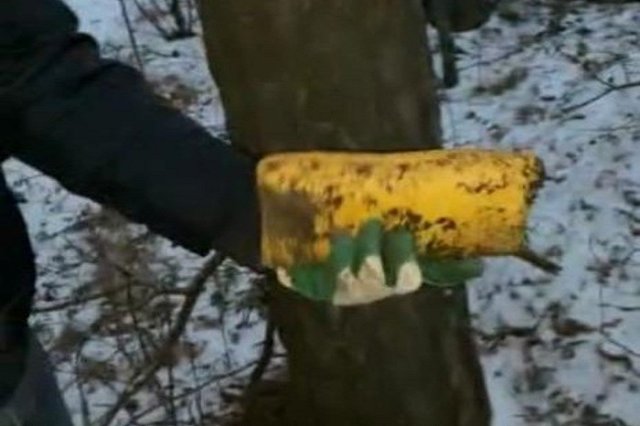 Свердловская полиция направила в суд дело наркодилеров, у которых изъяли 60 тысяч смертельных доз