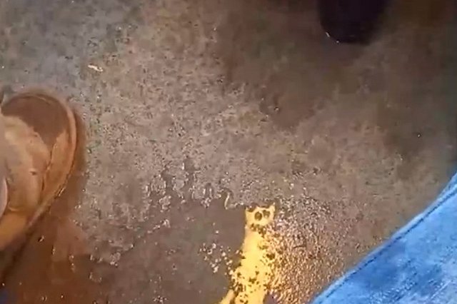 Пассажир «Ласточки» Красноуфимск — Екатеринбург попал под «дождь» внутри электрички