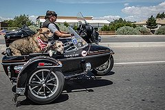 В Америке байкера похоронили на любимом мотоцикле