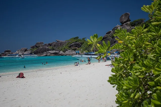 Туристку арестовали на одном из тайских островов за мытье ног