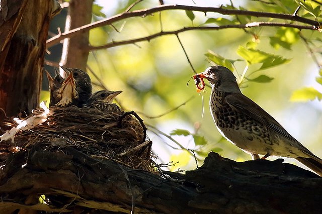Заповедники Свердловской области готовы к пожароопасному периоду
