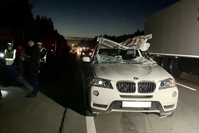 На ЕКАД машина сбила лося, который отлетел на другой автомобиль и убил водителя