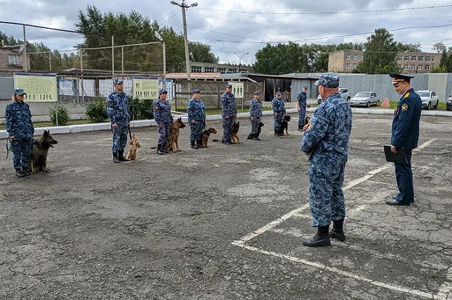 В ГУФСИН прокомментировали предложение депутата ЗакСО передать им собачьи приюты