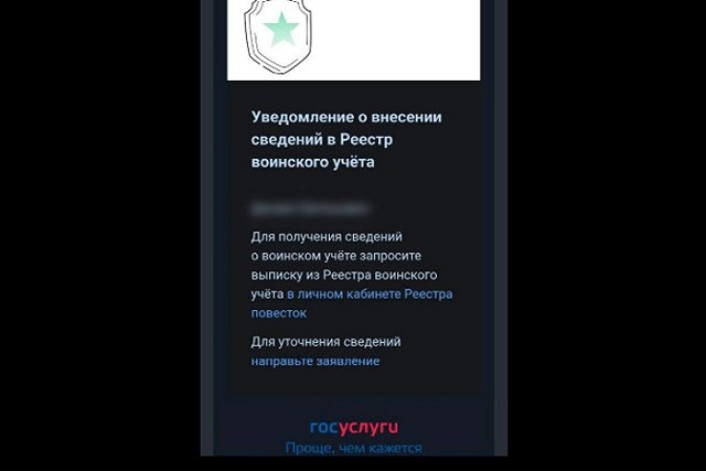 Что это? Екатеринбуржцам на «Госулуги» начали приходить уведомления об электронных повестках