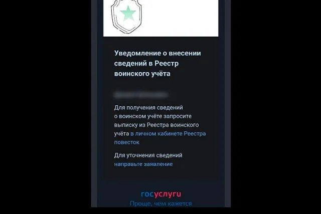 Что это? Екатеринбуржцам на «Госулуги» начали приходить уведомления об электронных повестках