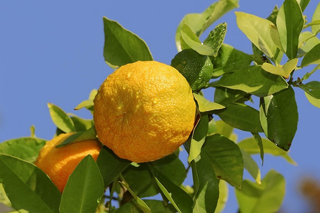 В Испании изобрели революционное средство от ожирения