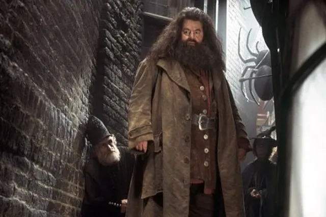 Умер актёр, сыгравший Хагрида в «Гарри Поттере»