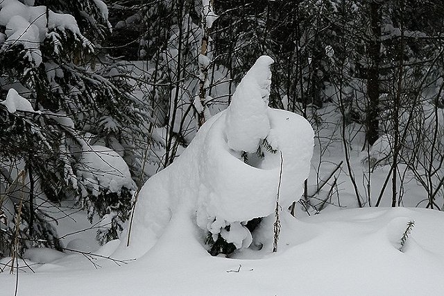 «Это аномалия». Свердловские синоптики сообщили, на сколько градусов темература в регионе ниже нормы