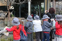 Китайским туристам запретили ковыряться в носу