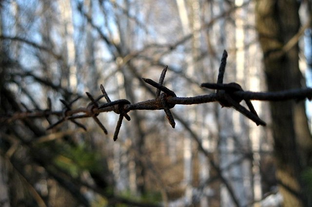 Арестован подозреваемый в убийстве музыканта на Дне металлурга в Красноуральске