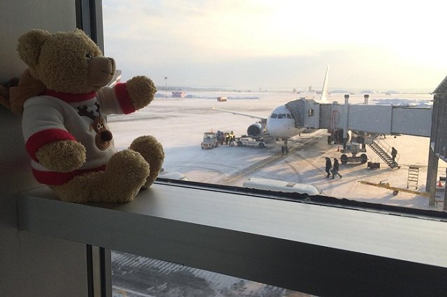 Работники Кольцово устроили фотосессию для забытого ребенком плюшевого мишки