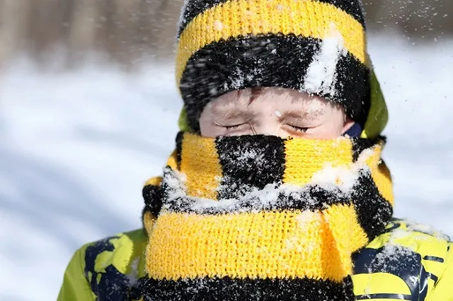 С жителей элитного поселка требуют полмиллиона за связь с внешним миром