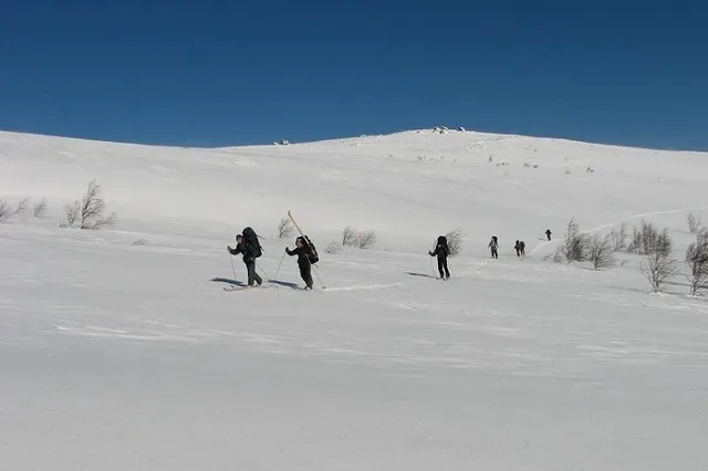 Турист, пропавший на перевале Дятлова, оказался судьей Свердловского облсуда
