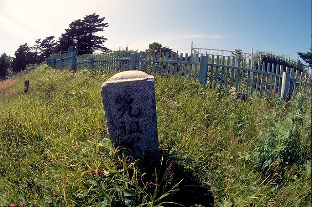 Токио опротестовал изъятие телефонов у прибывших на Курилы японцев