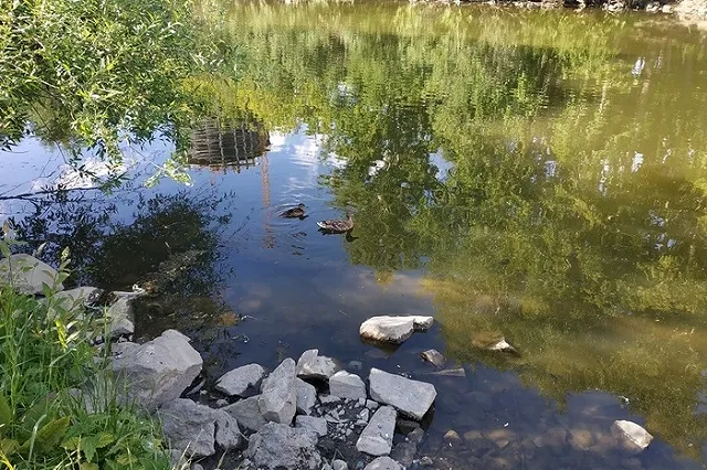 Екатеринбуржцам предлагают выбрать парк для благоустройства в 2022 году