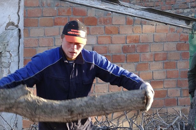 Свердловчанина насмерть придавило деревом