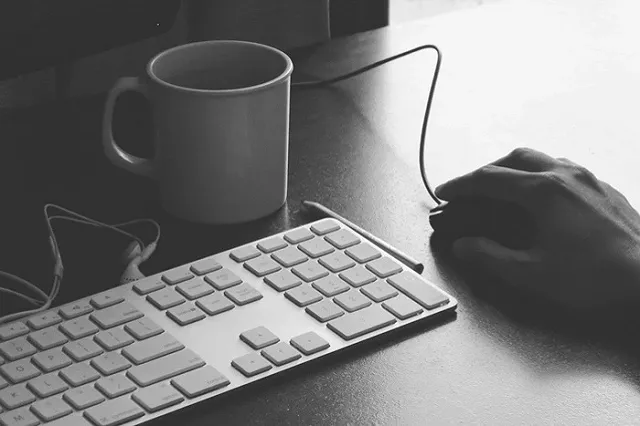 Неизвестные включили во время онлайн-конференции екатеринбургских бухгалтеров порноролики